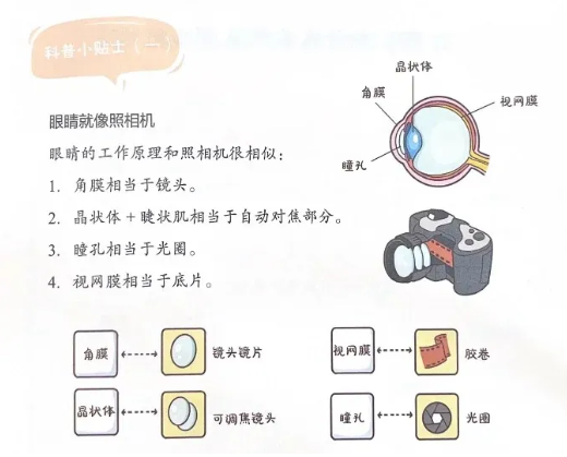 同样做近视手术，为啥有人会眩光？暗瞳是关键